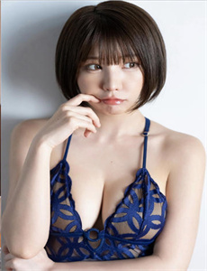 金瓶风月